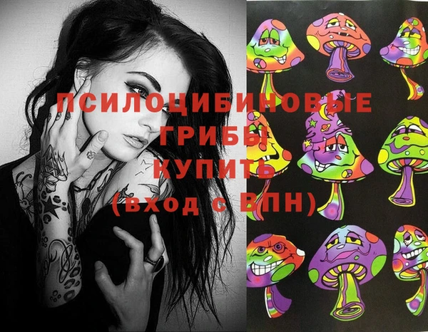 спайс Аркадак
