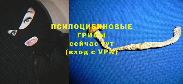 винт Пестово