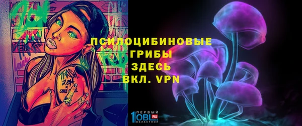 ешки Арсеньев