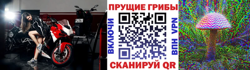 Галлюциногенные грибы Cubensis  Ступино 